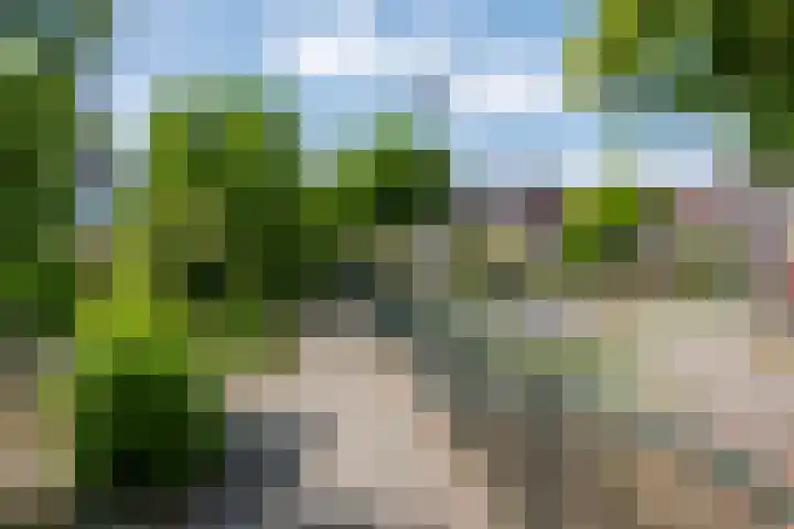 Lindenlaan 105 Castricum thumbnail 55