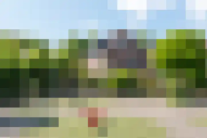 Lindenlaan 105 Castricum thumbnail 56