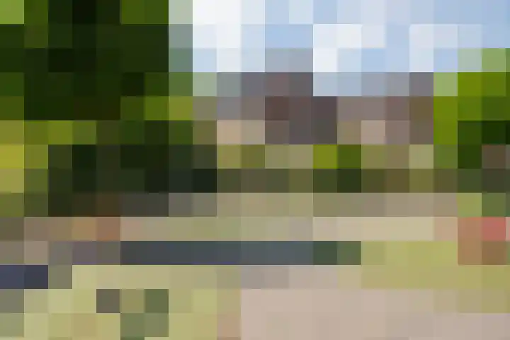 Lindenlaan 105 Castricum thumbnail 57