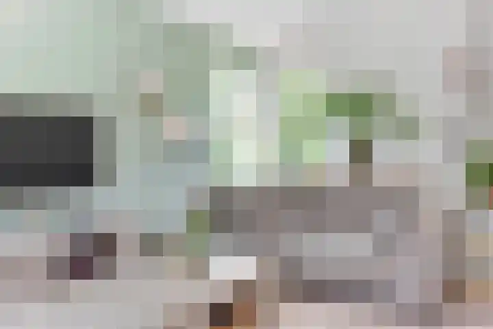Lindenlaan 105 Castricum thumbnail 9