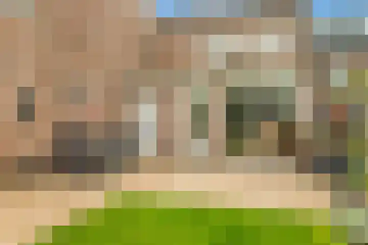 Lindenlaan 107 Castricum thumbnail 11