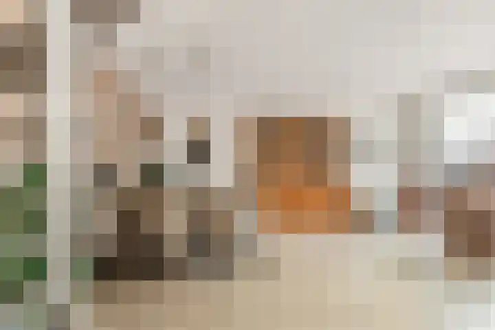 Lindenlaan 107 Castricum thumbnail 15