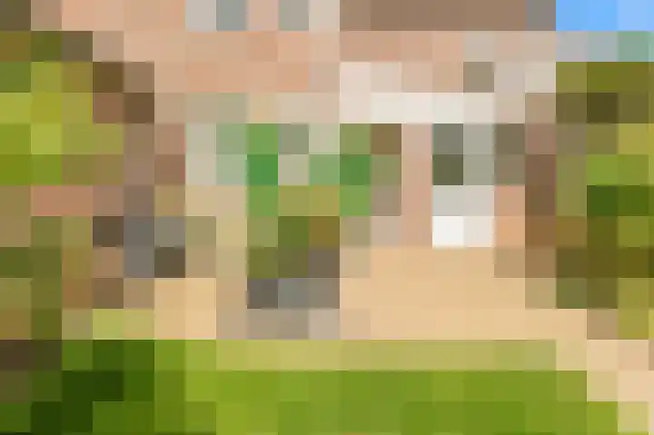 Lindenlaan 107 Castricum thumbnail 31