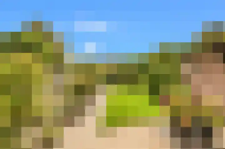 Lindenlaan 107 Castricum thumbnail 32