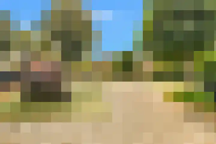 Lindenlaan 107 Castricum thumbnail 33