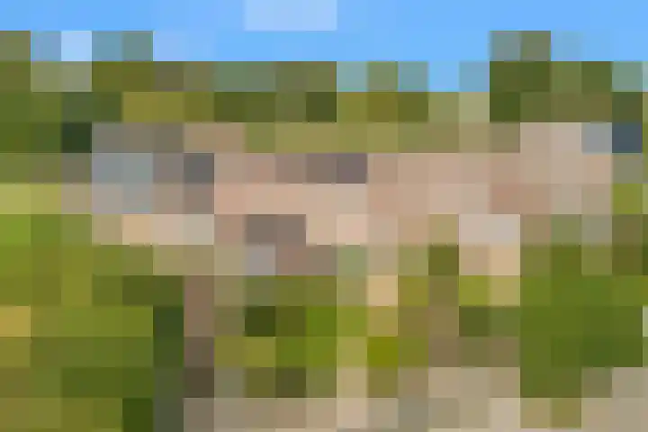 Lindenlaan 107 Castricum thumbnail 34