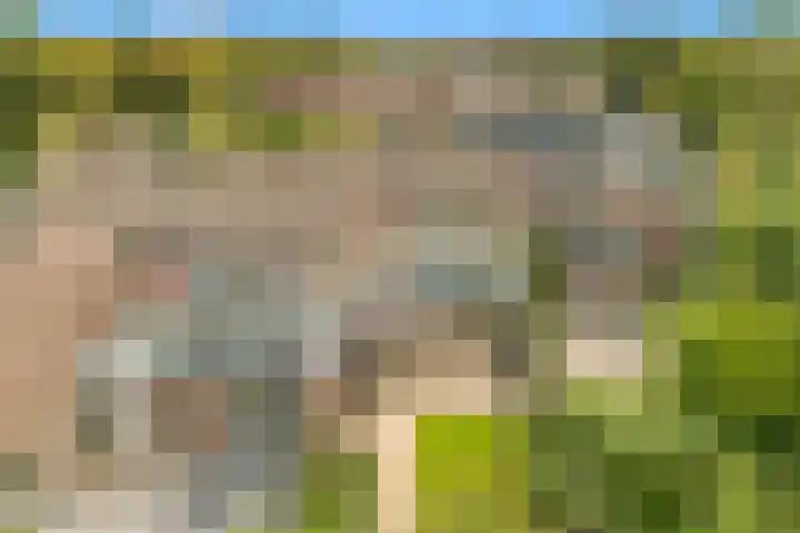 Lindenlaan 107 Castricum thumbnail 35