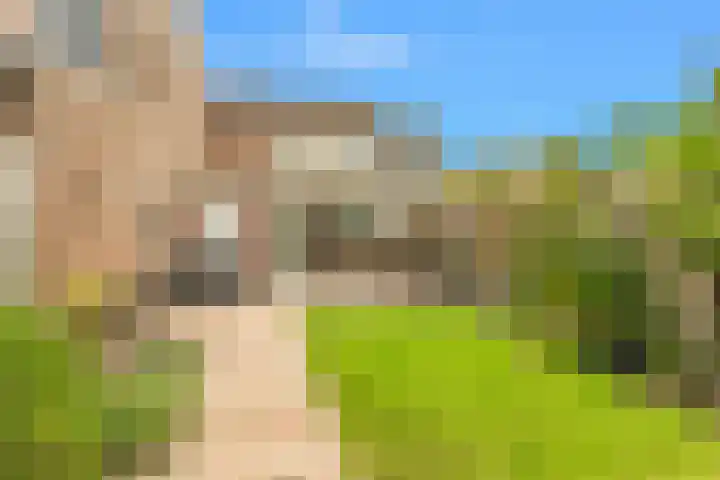 Lindenlaan 107 Castricum thumbnail 4