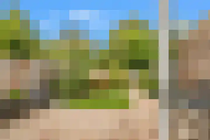 Lindenlaan 107 Castricum thumbnail 7