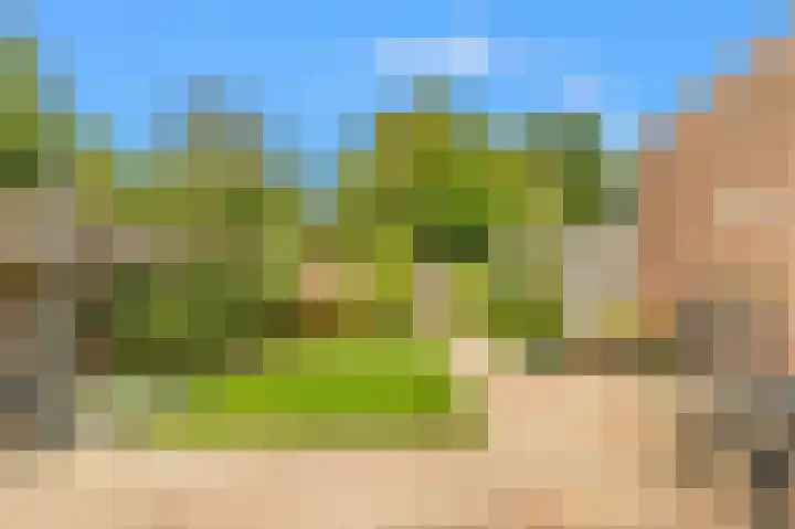 Lindenlaan 107 Castricum thumbnail 8