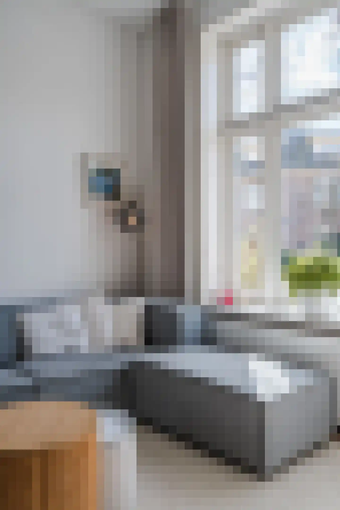 Lindenlaan 108 Alkmaar thumbnail 19