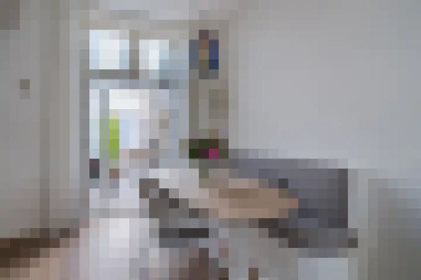 Lindenlaan 108 Alkmaar thumbnail 22