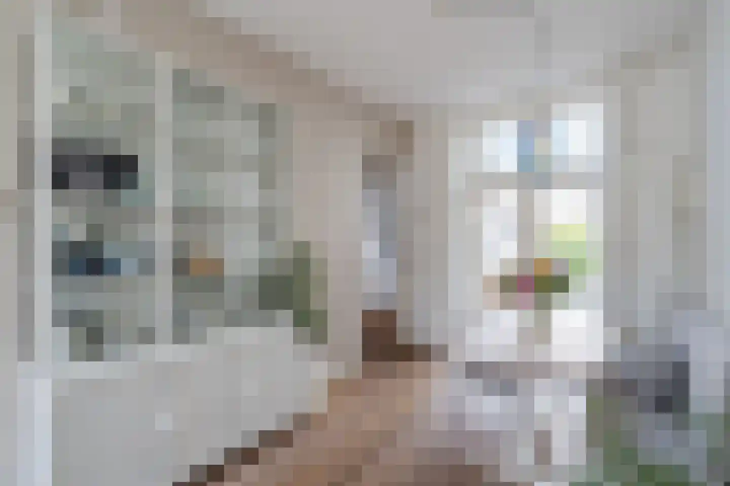 Lindenlaan 108 Alkmaar thumbnail 23