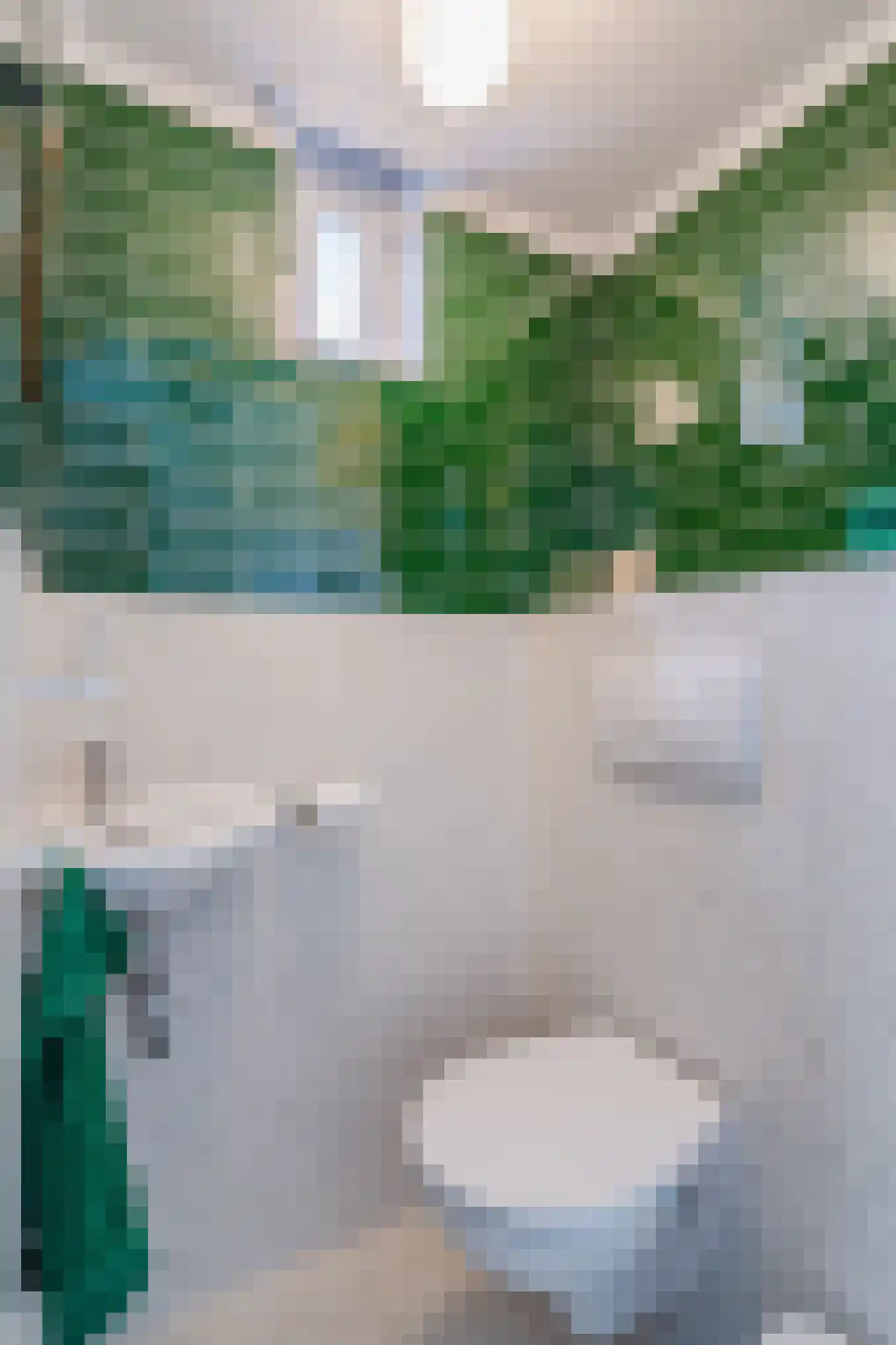Lindenlaan 108 Alkmaar thumbnail 37