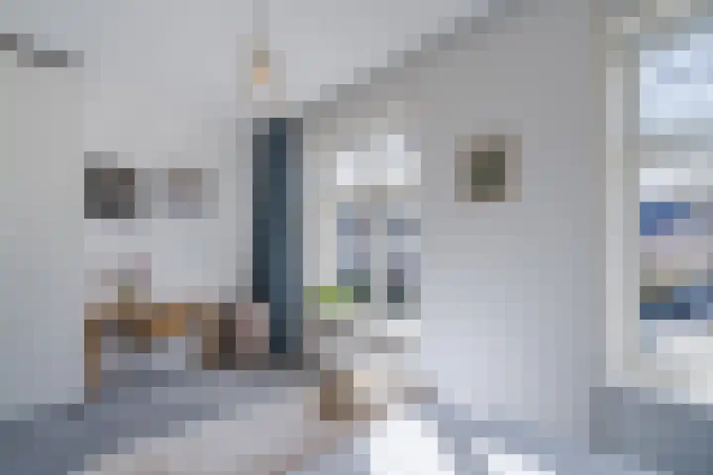 Lindenlaan 108 Alkmaar thumbnail 47
