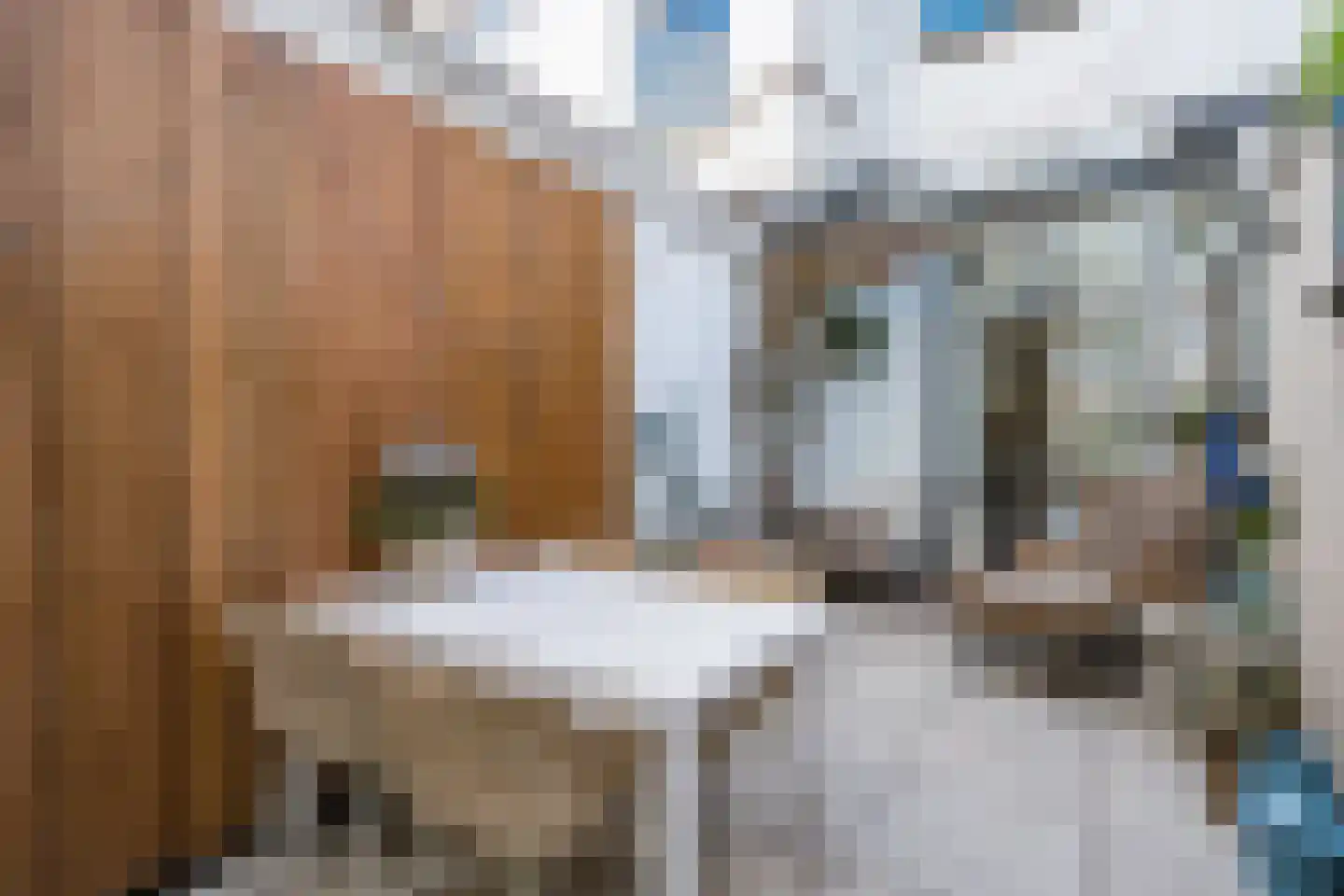 Lindenlaan 108 Alkmaar thumbnail 67