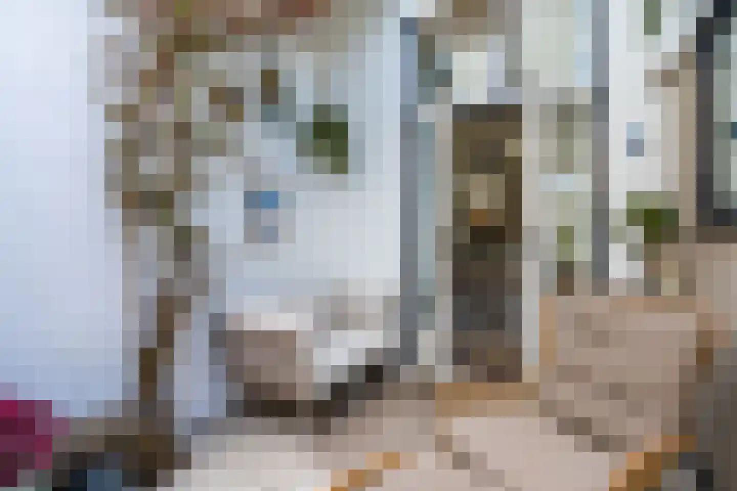 Lindenlaan 108 Alkmaar thumbnail 70