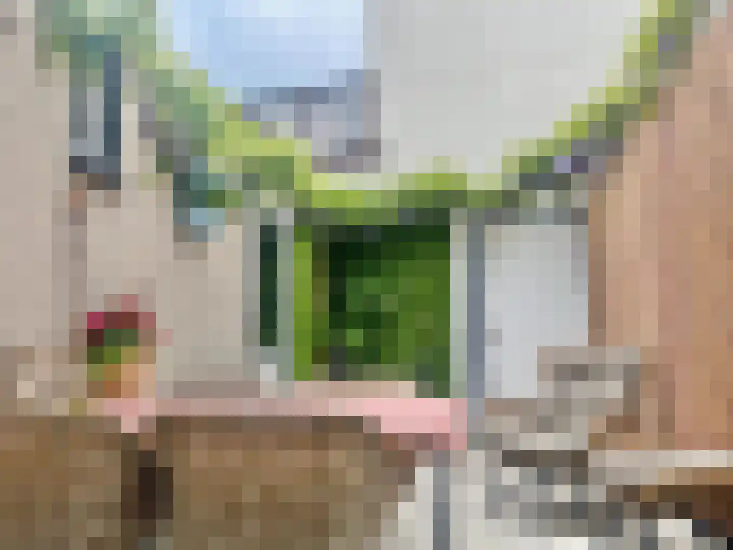 Lindenlaan 108 Alkmaar thumbnail 71