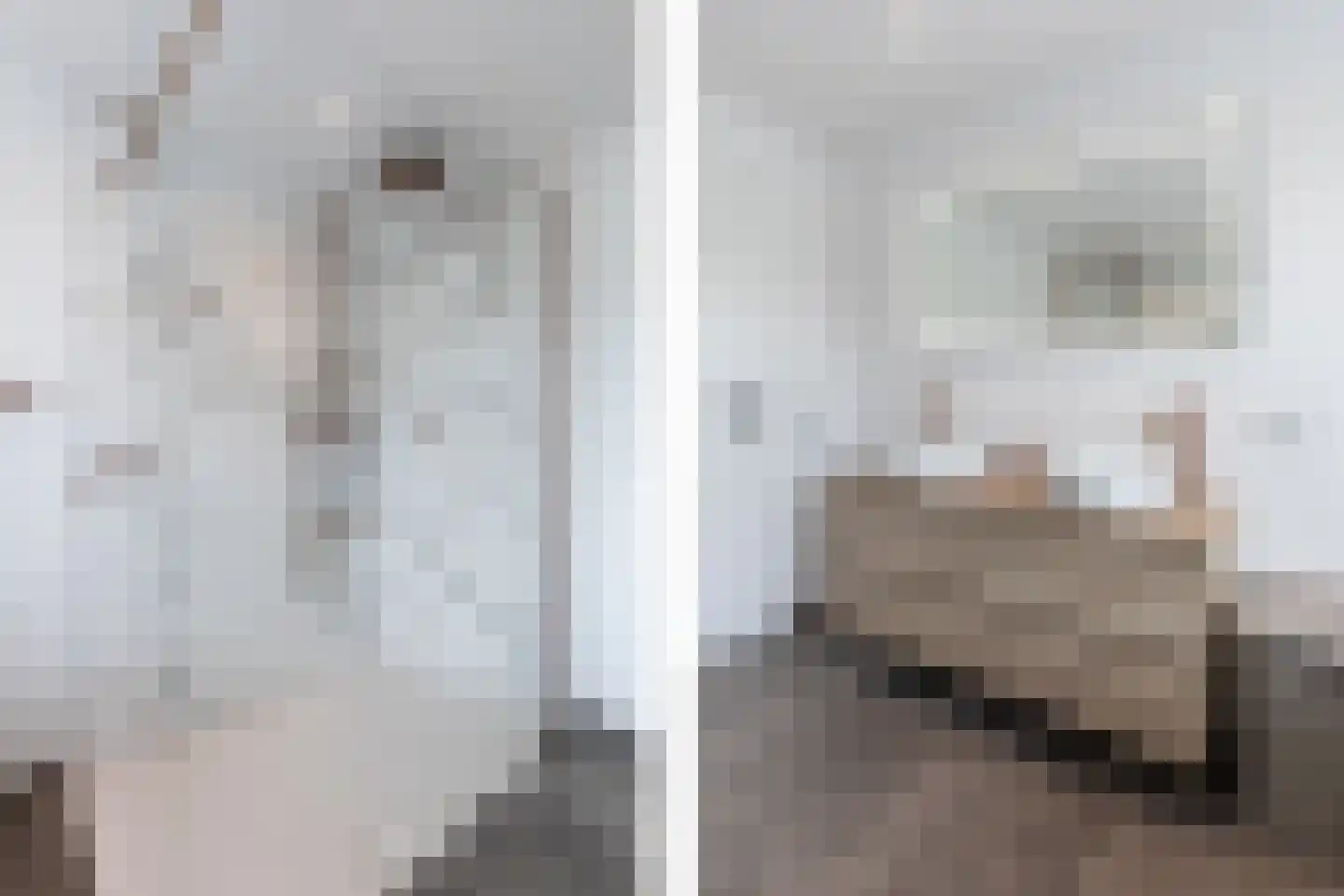 Lindenlaan 11 Bunde thumbnail 13