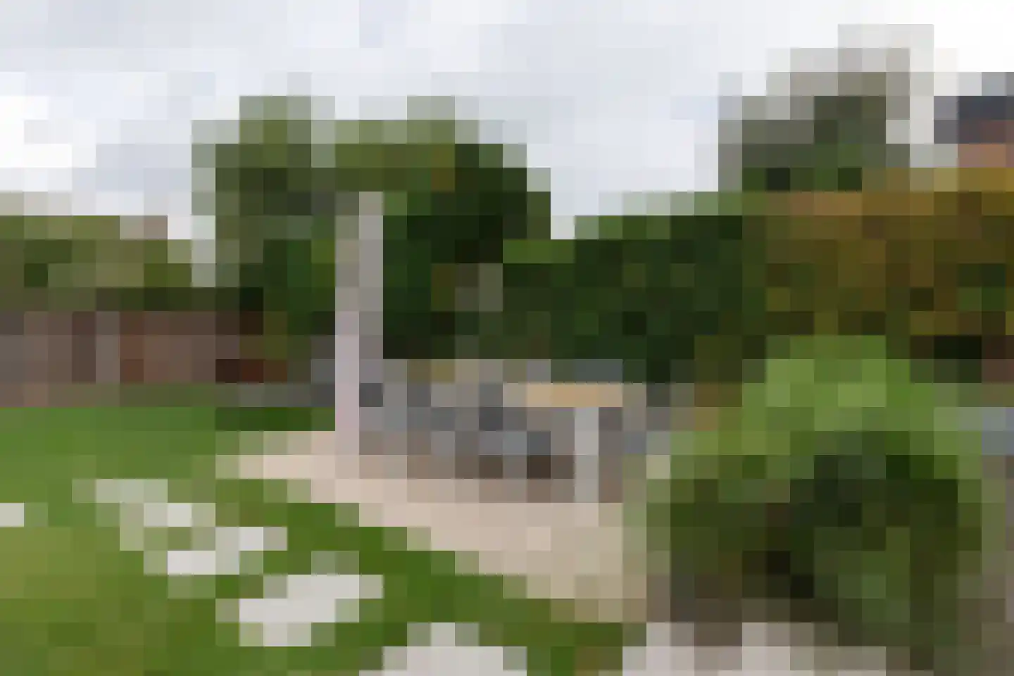 Lindenlaan 11 Bunde thumbnail 20