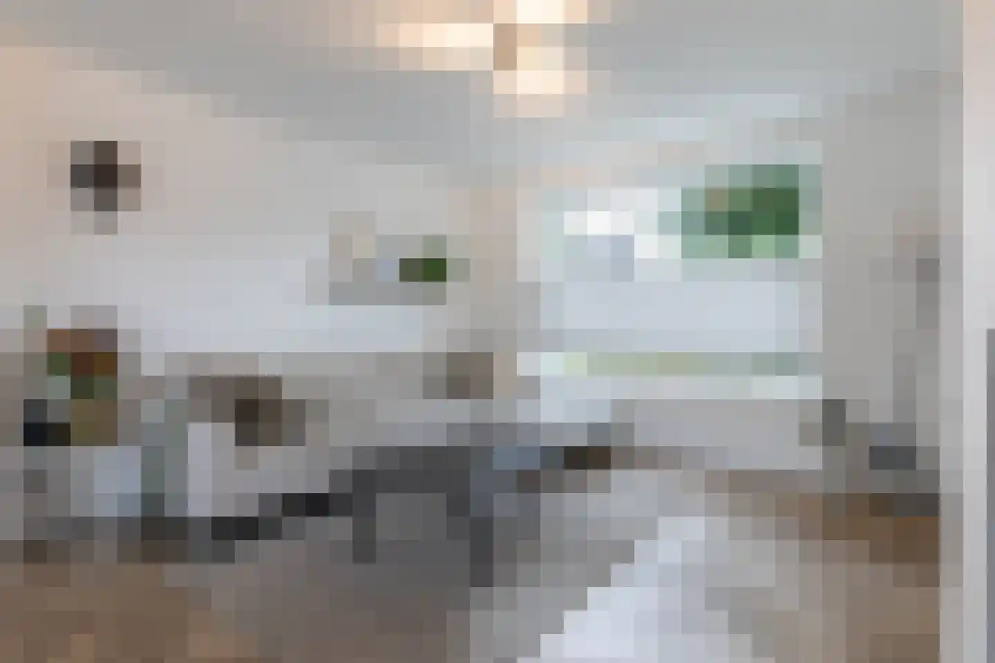 Lindenlaan 11 Bunde thumbnail 6