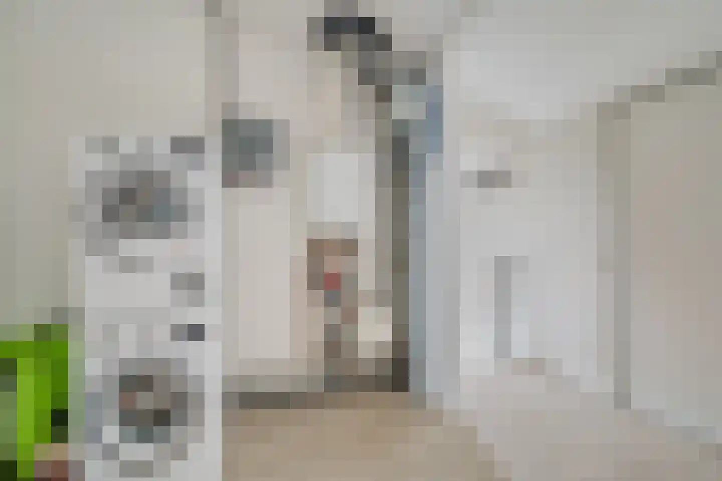 Lindenlaan 11 Hoogezand thumbnail 32