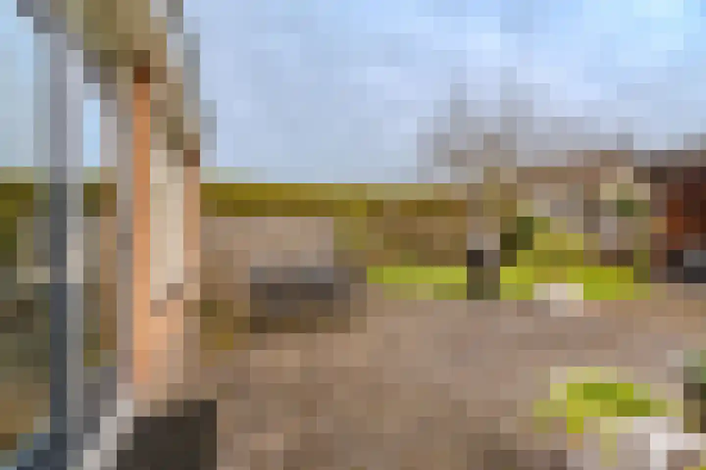 Lindenlaan 11 Hoogezand thumbnail 33