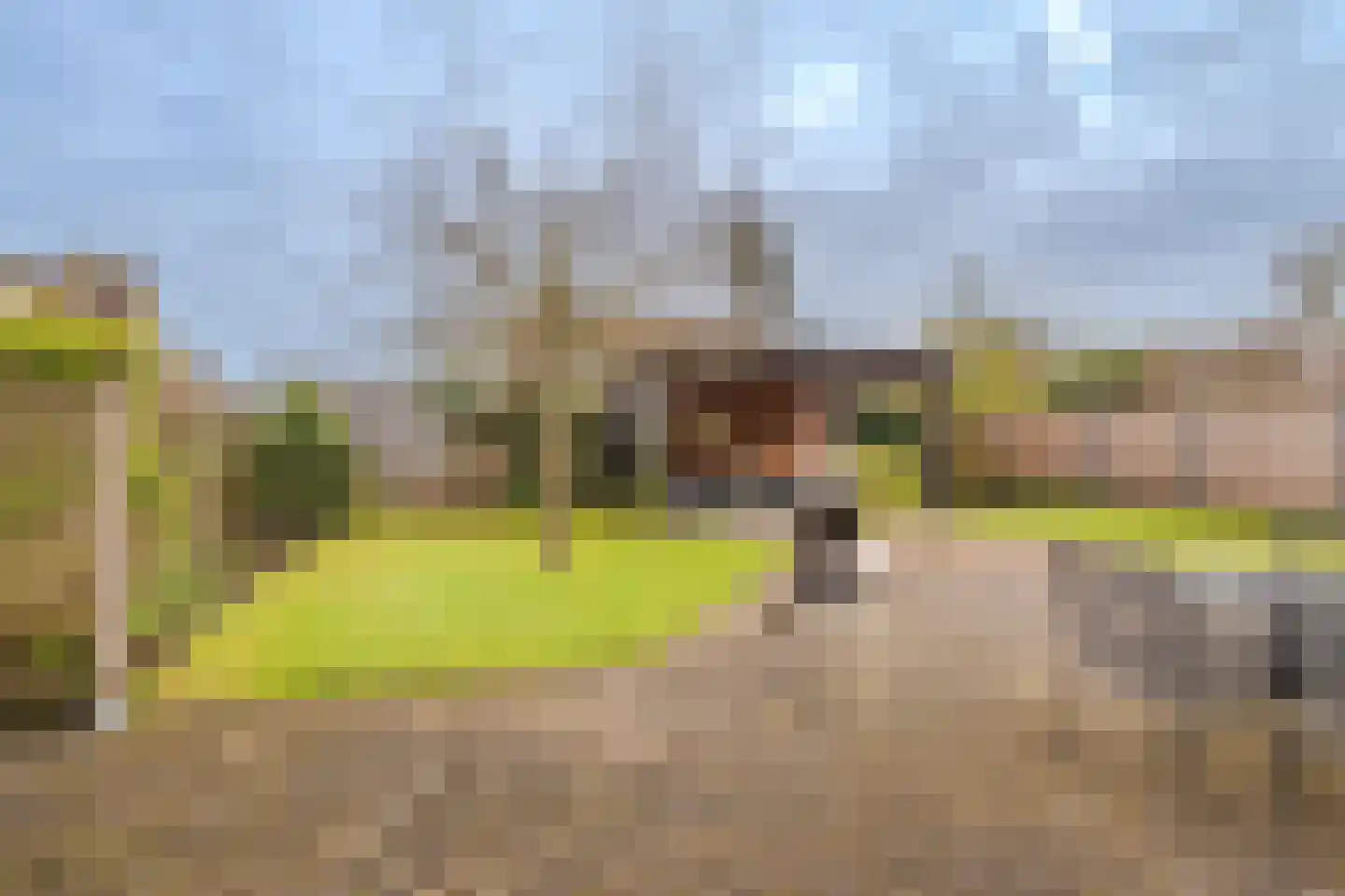 Lindenlaan 11 Hoogezand thumbnail 35