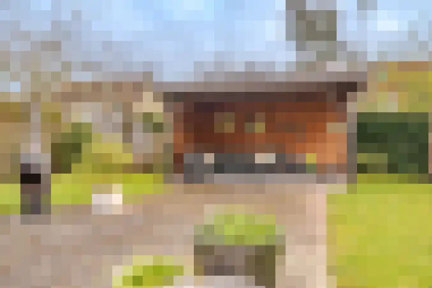 Lindenlaan 11 Hoogezand thumbnail 36