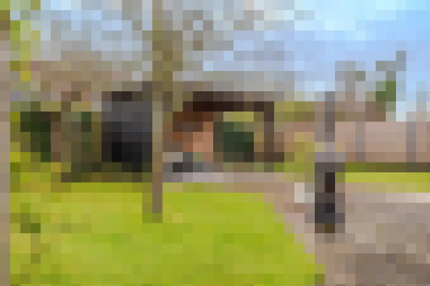 Lindenlaan 11 Hoogezand thumbnail 40
