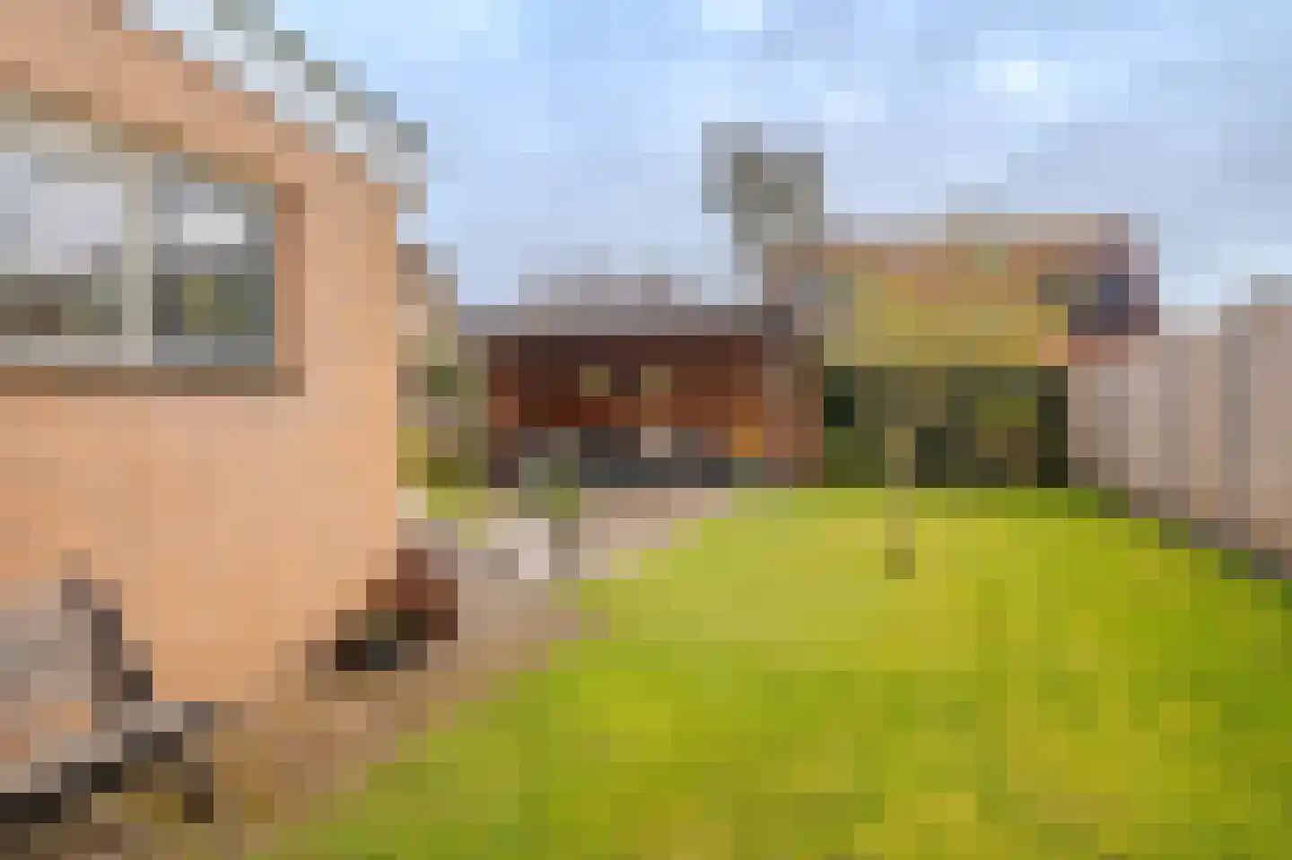 Lindenlaan 11 Hoogezand thumbnail 43