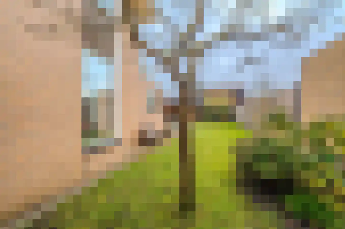 Lindenlaan 11 Hoogezand thumbnail 44