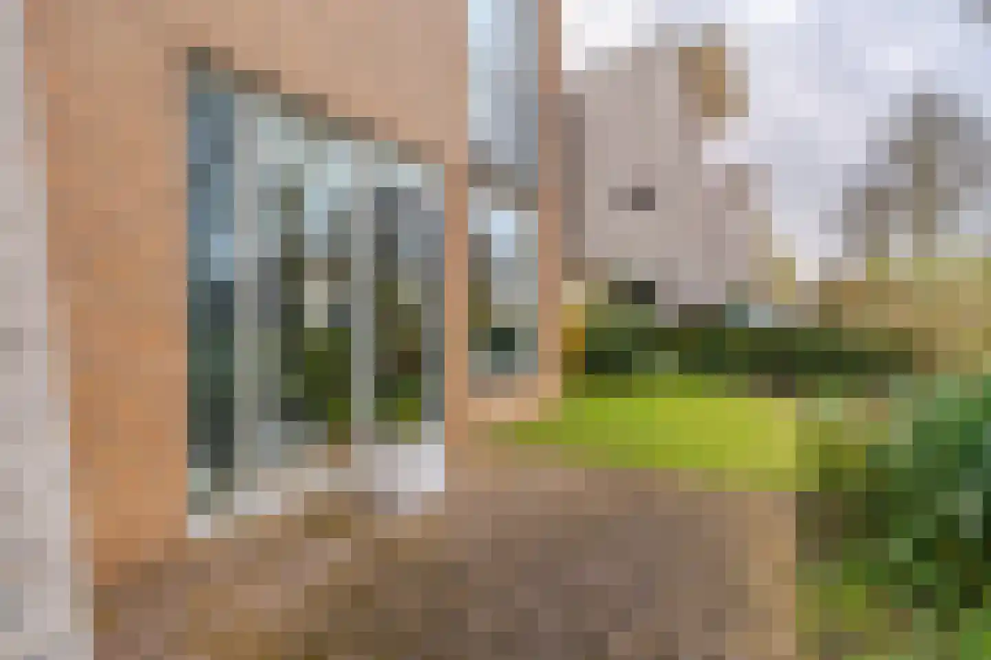 Lindenlaan 11 Hoogezand thumbnail 46