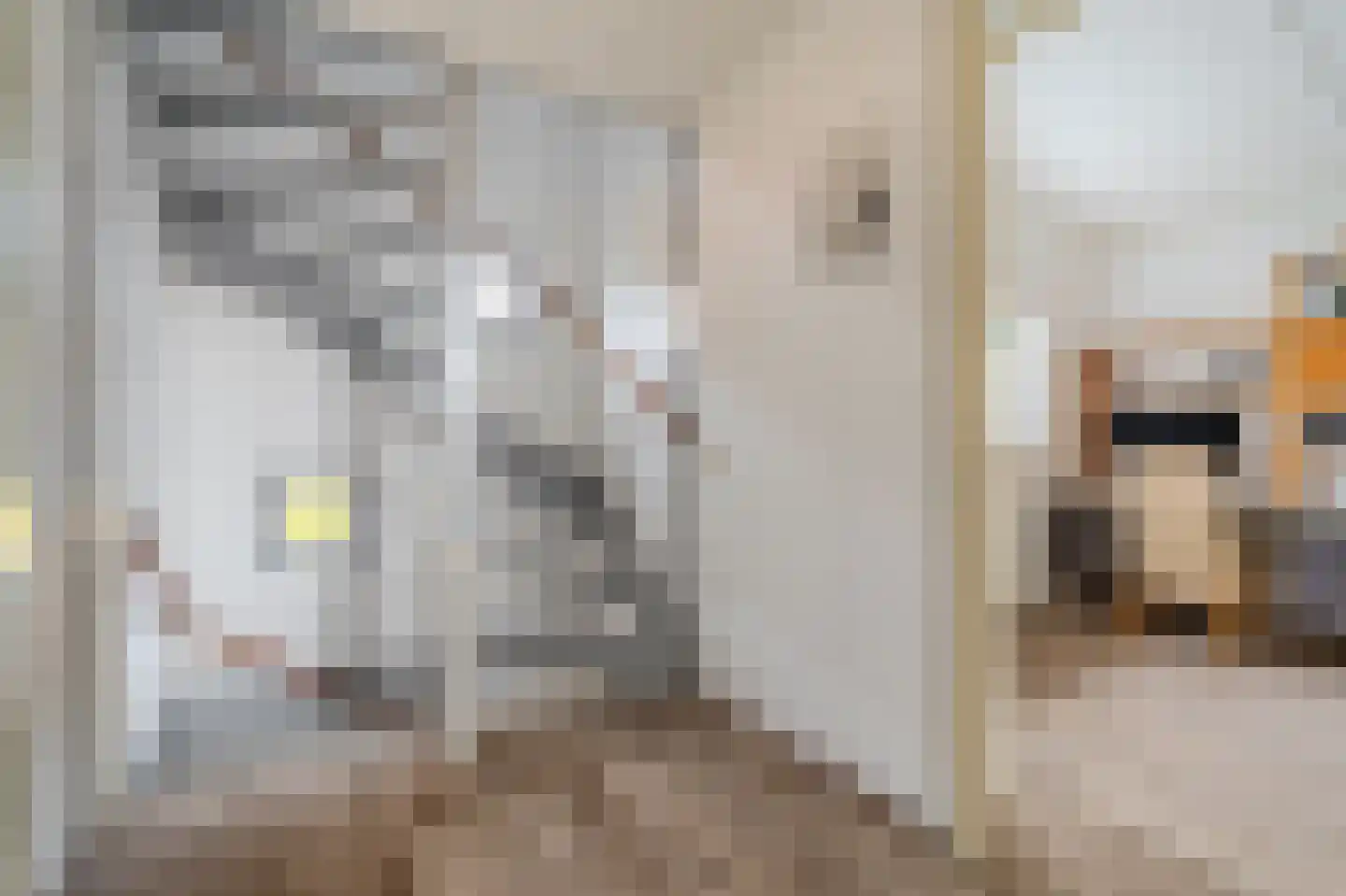 Lindenlaan 11 Hoogezand thumbnail 57