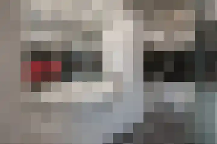 Lindenlaan 115 Kerkrade thumbnail 13