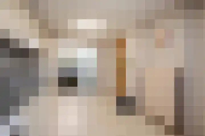 Lindenlaan 115 Kerkrade thumbnail 7