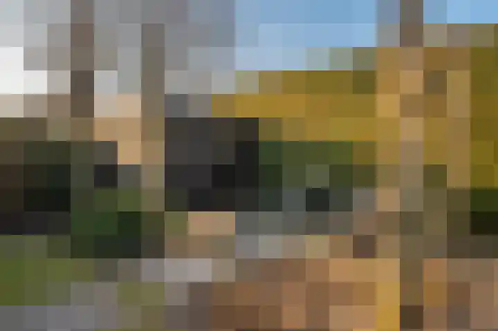 Lindenlaan 12 Blijham thumbnail 10