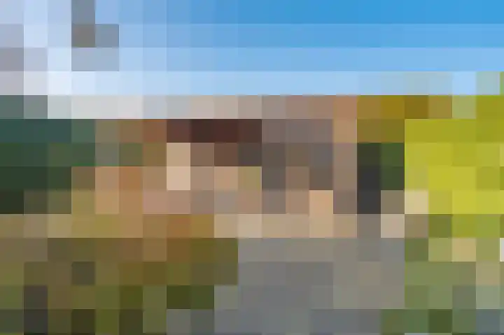 Lindenlaan 12 Blijham thumbnail 11