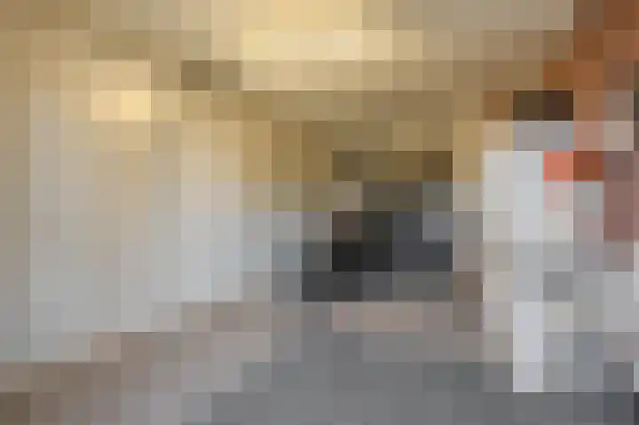 Lindenlaan 12 Blijham thumbnail 27