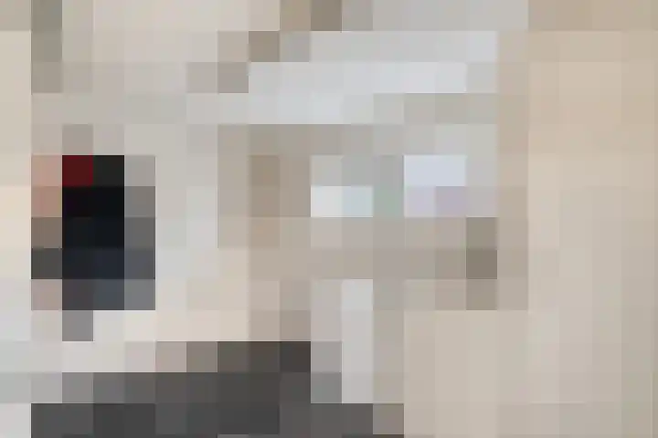 Lindenlaan 12 Staphorst thumbnail 13