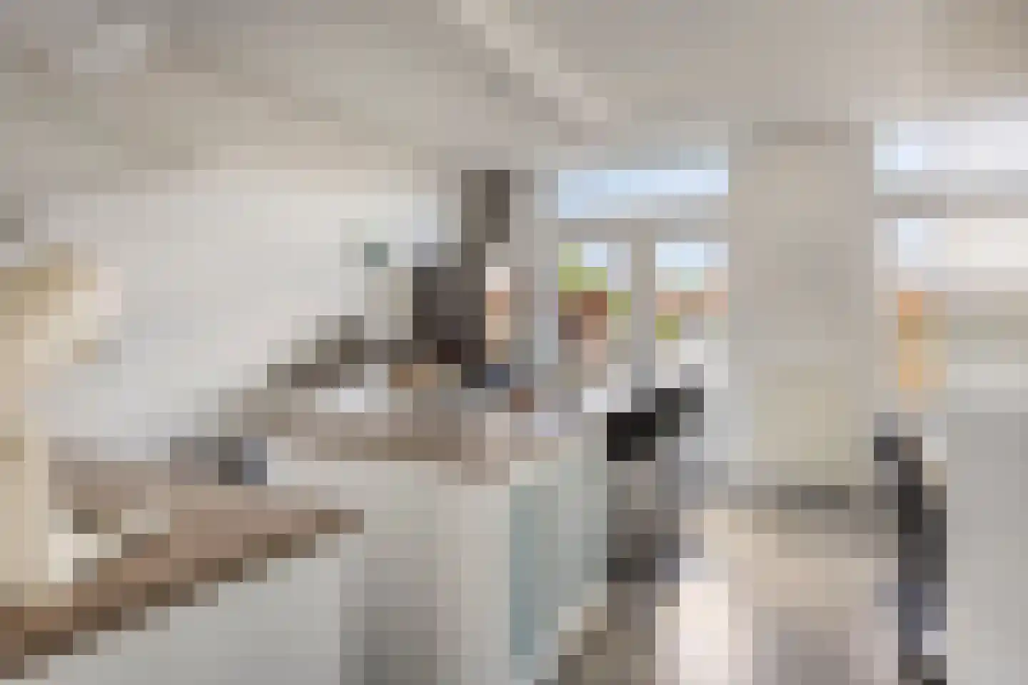 Lindenlaan 120 Alkmaar thumbnail 10