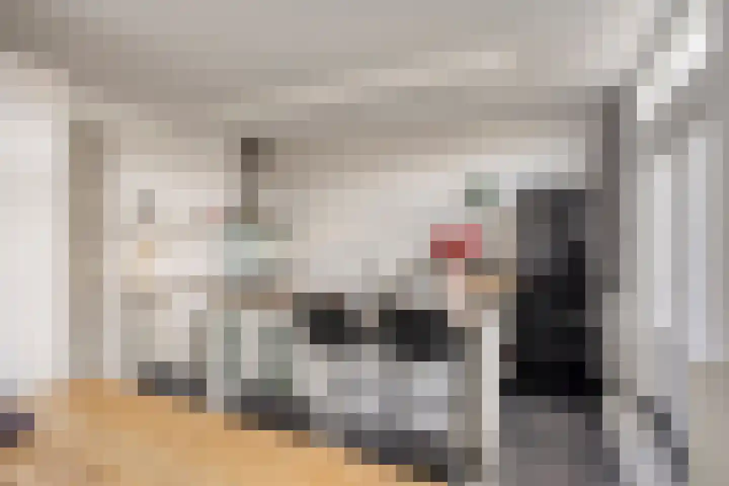 Lindenlaan 120 Alkmaar thumbnail 10