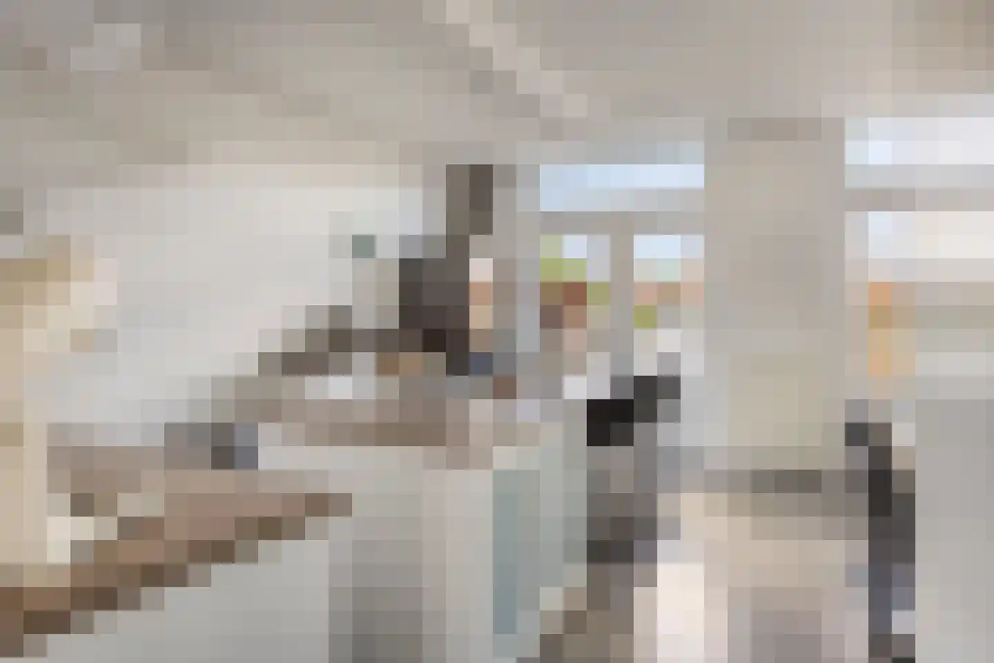 Lindenlaan 120 Alkmaar thumbnail 11