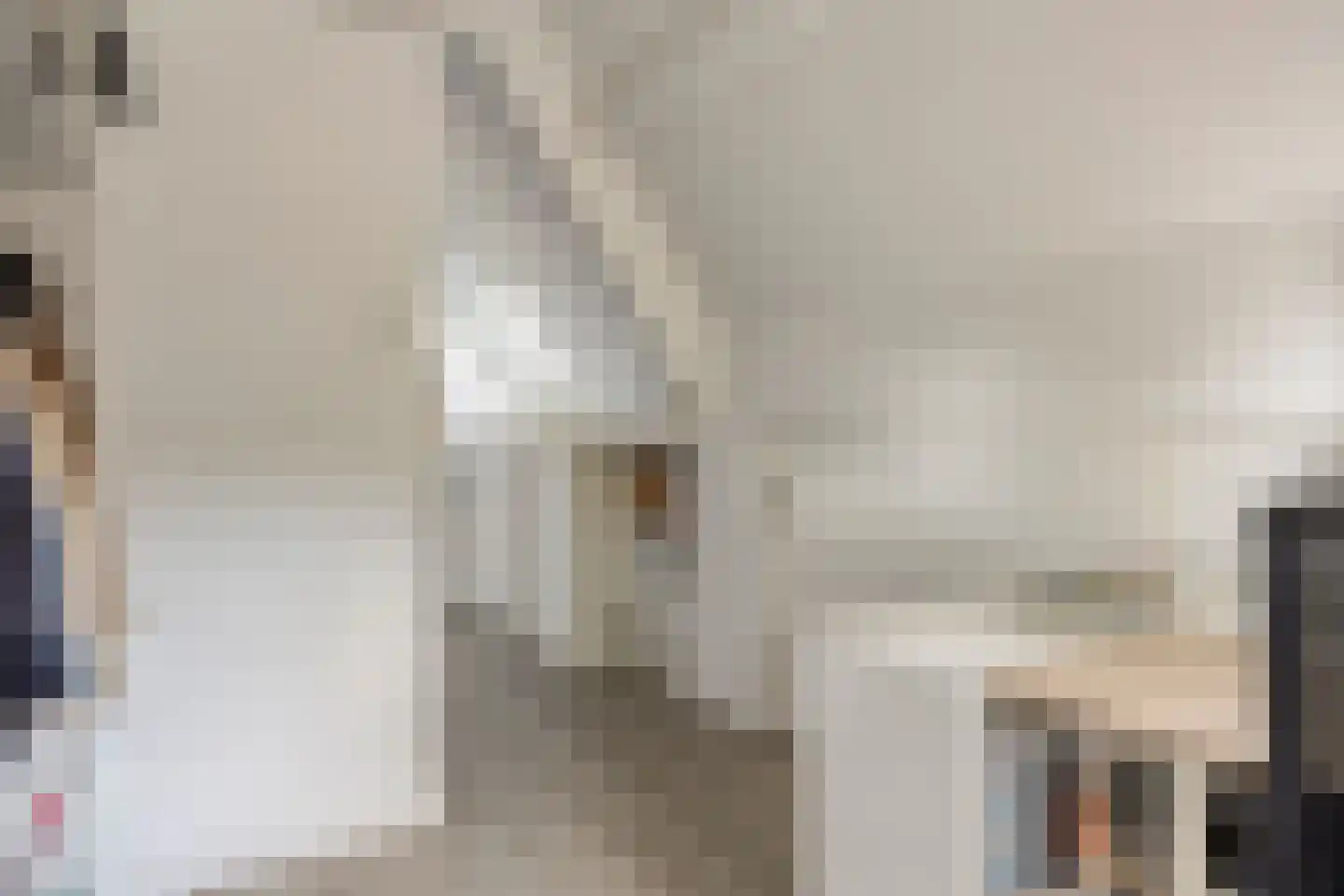 Lindenlaan 120 Alkmaar thumbnail 20