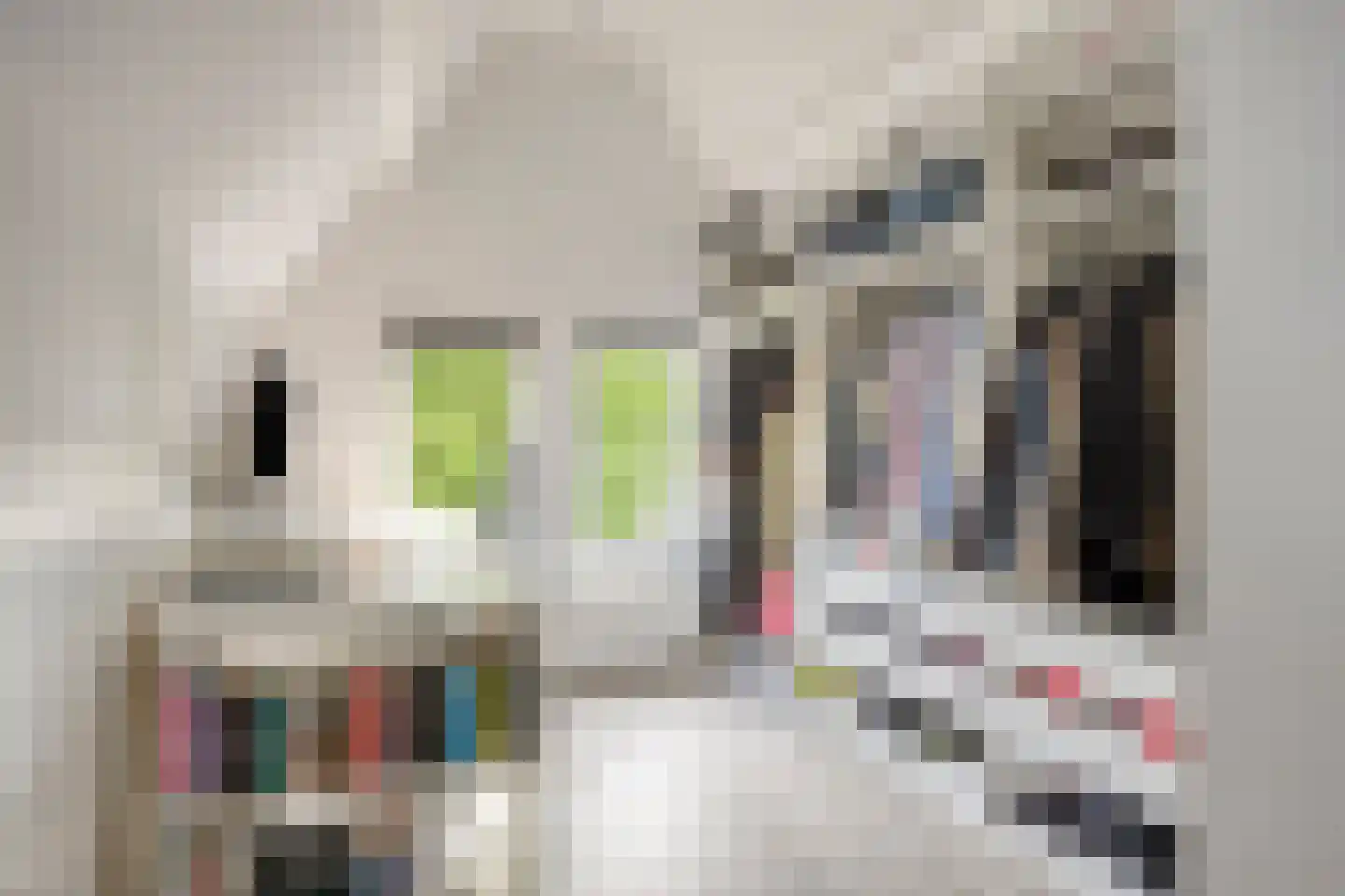 Lindenlaan 120 Alkmaar thumbnail 21