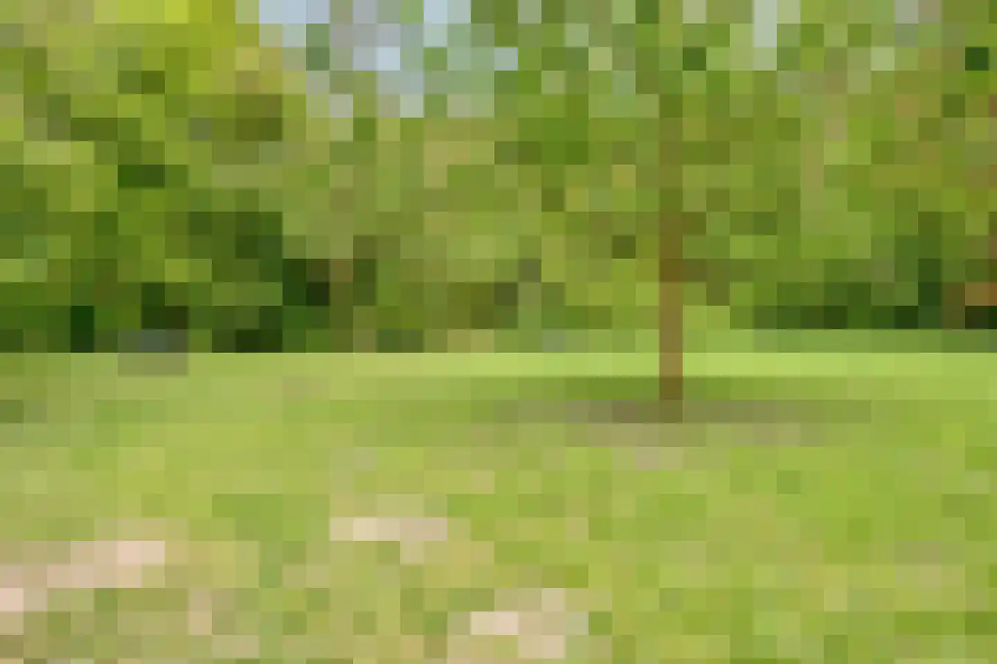 Lindenlaan 120 Alkmaar thumbnail 26