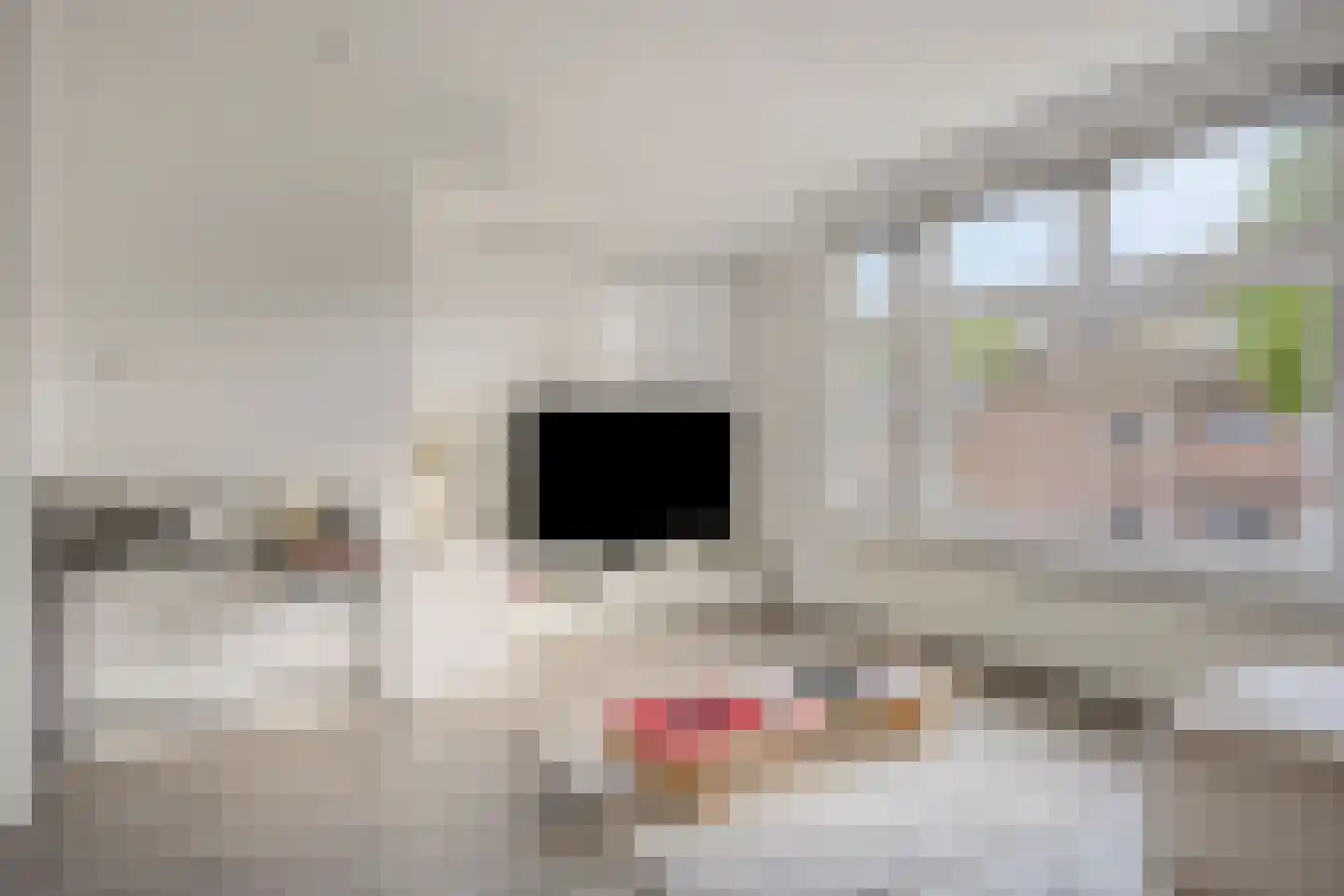 Lindenlaan 120 Alkmaar thumbnail 7