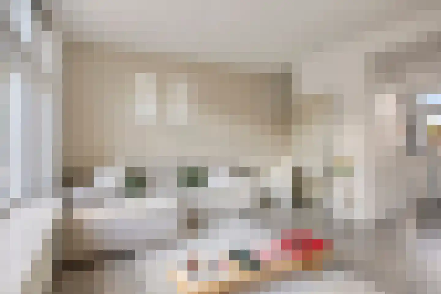 Lindenlaan 120 Alkmaar thumbnail 8