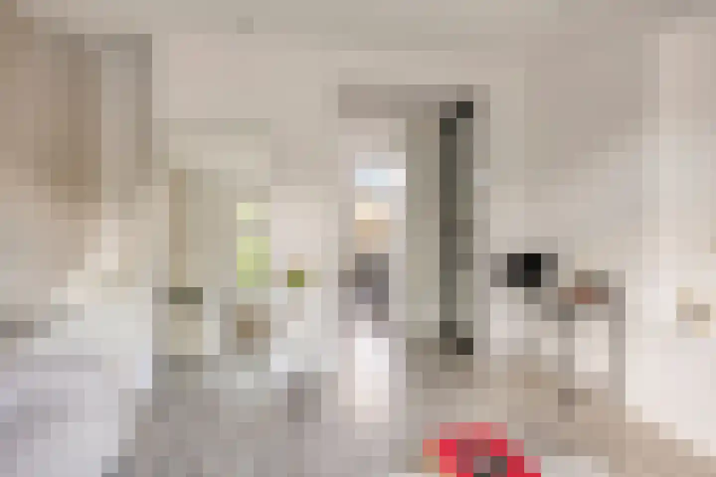 Lindenlaan 120 Alkmaar thumbnail 9