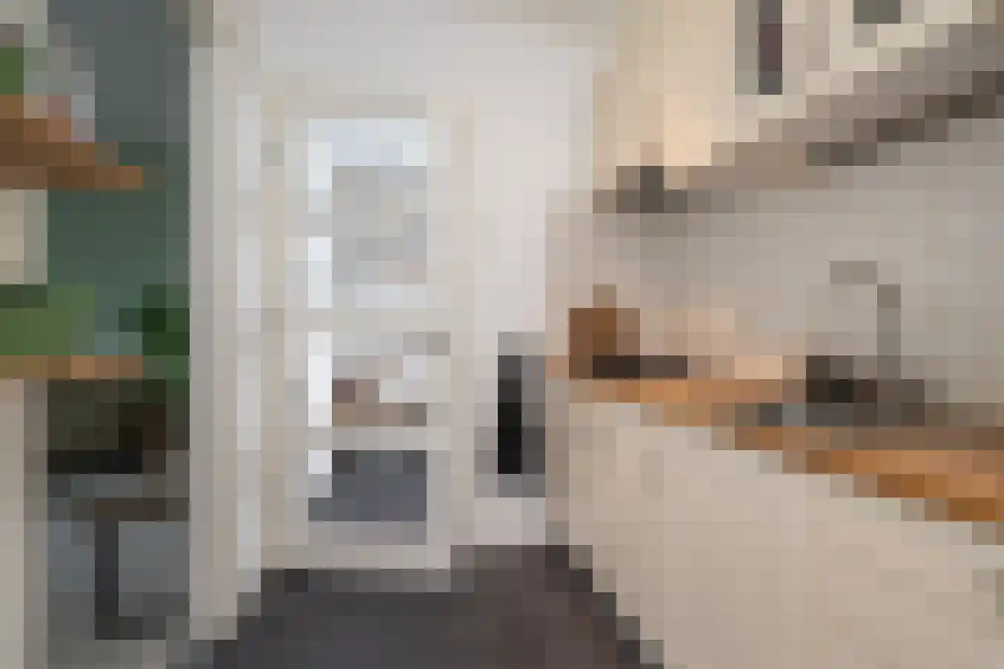Lindenlaan 121 Huizen thumbnail 14